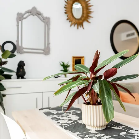 Dalias De Monko Torremolinos