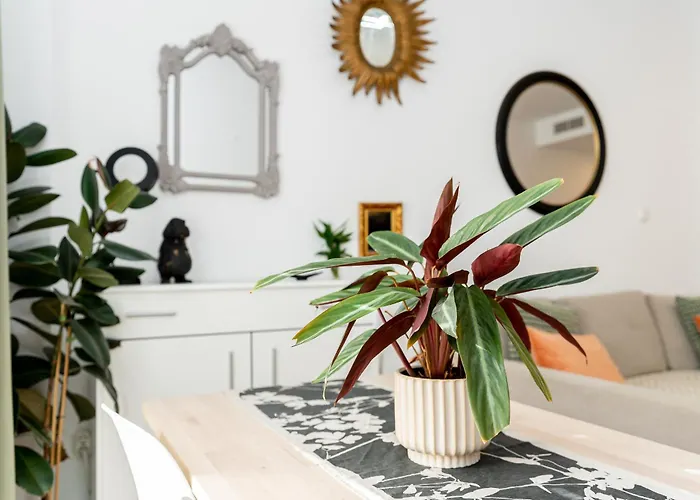 Dalias De Monko Torremolinos