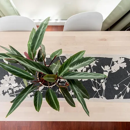 Apartment Dalias De Monko Torremolinos